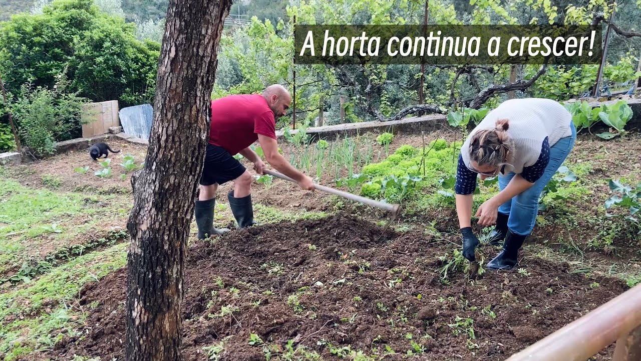 Finalmente plantámos batatas (e outros vegetais) | vlog no campo 🌳🐕