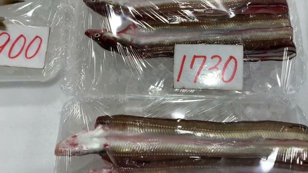 道の駅笠岡ベイファーム鮮魚コーナー２／１３