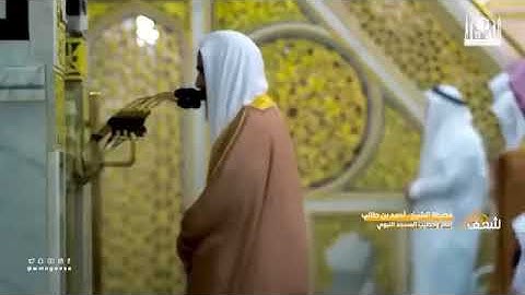 الشيخ أحمد بن طالب حميد ما تيسر من سورة القصص