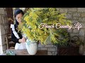 フランス田舎の贅沢な自然 ❘ ミモザリース作り ❘ エプロン出来ました ～暮らしのVLOG#80