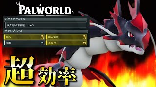 灼熱】最高級の火『アグニドラ』を厳選してみないか？【パルワールド