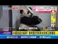 府會針對總預算的辯論