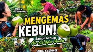 MENGEMAS KEBUN SAMBIL MINUM AIR KELAPA MUDA