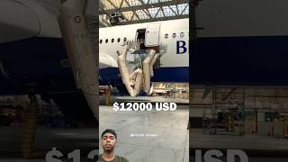 Why Opening an Airplane Emergency Gate Costs So Much✈️✈️#shortvideo