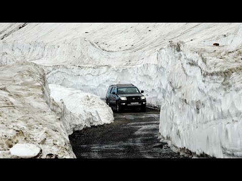 მარტოკაცი ჯიხვ-არწივების ბინიდან