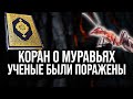 Ученые думали, что нашли научную ошибку в Коране, но спустя несколько лет они были поражены