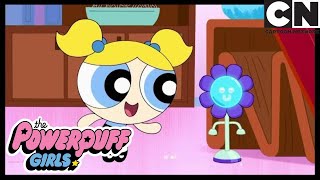 Coding Nightmare | Powerpuff Girls | Cartoon Network