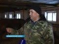 Фермер из Илишевского района получил субсидию на сумму более полутора миллионов рублей