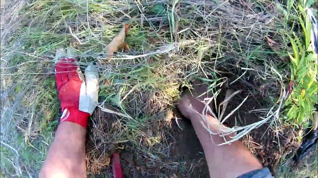 Tx850 metal detector with Mi4 pinpointer COMBO! WOW YouTube