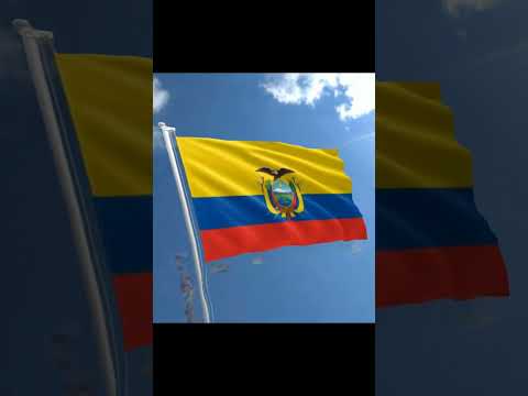 Video: Bendera siapa yang kuning biru dan merah?