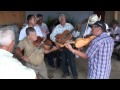 SANARE - LARA - VENEZUELA -- VIOLINES EN PALO VERDE