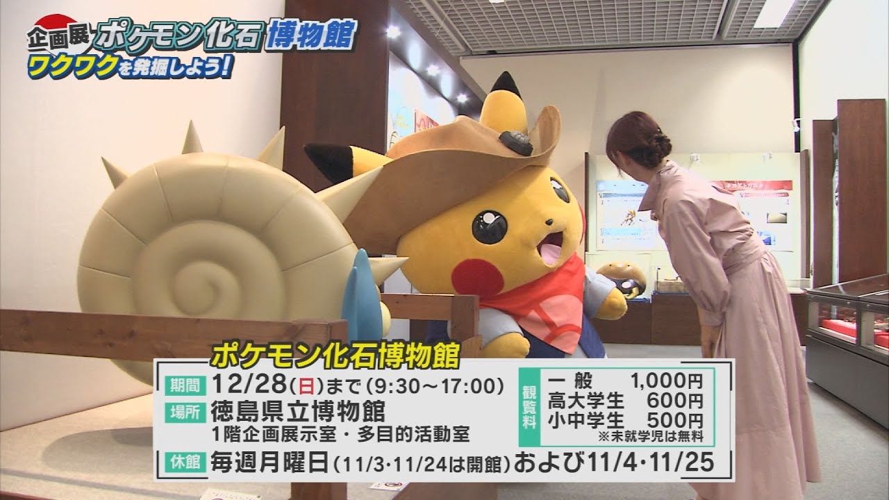 Two worlds intersect at the Pokémon Fossil Museum for exciting