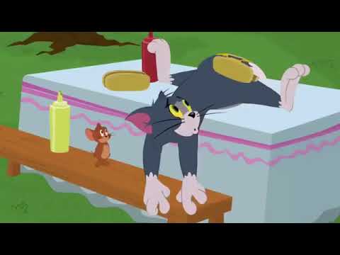 Download Film Tom And Jerry Terbaru 2016 Full Bagian 4 Mp4 Mp3 3gp Daily Movies Hub