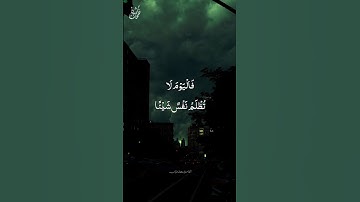 صيحة واحدة!! - القارئ محمد دياب #نفحات_شبان