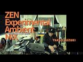 Impermanence Vol.4 | ZEN Experimental Ambient MIX