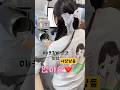 브랜딩은 작은 것부터.그 시작은 텐바이미옷걸이로😻#옷걸이브랜드 #옷가게준비 #브랜딩소품#옷걸이각인 #옷걸이추천 #사장님스타그램#텐바이미 #텐바이미옷걸이