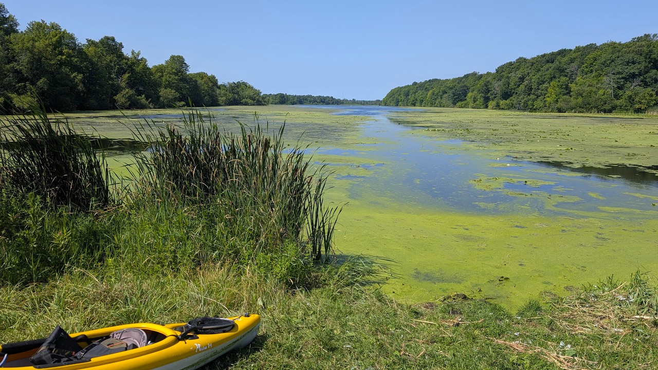 Paddling Through a Swamp for Big Bass!