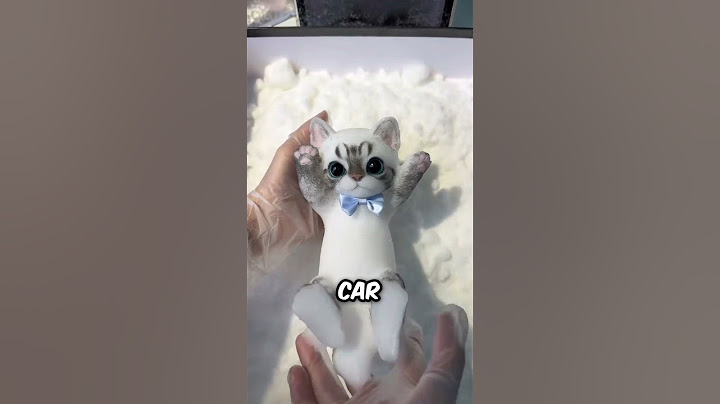 C'est le meilleur jouet pour chat adhésif moulé en mousse !