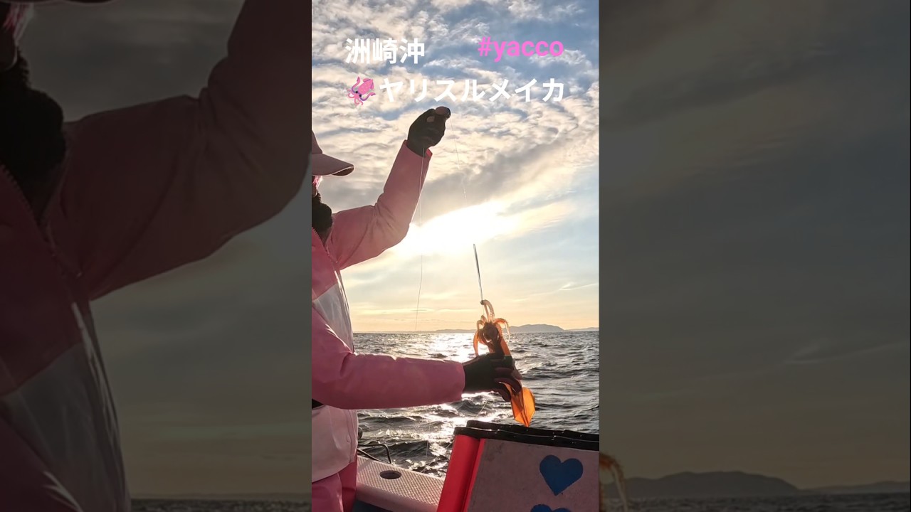 極鋭ヤリイカ200 ヤリイカ乗り 07極鋭ヤリイカ200 | イシグロ公式