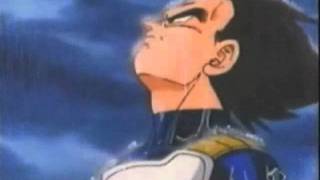 Vegeta the Hero