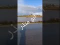 يازين وقت الشتاء والكاع ممطورة mp3