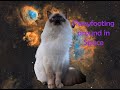 Pussyfooting around in Space