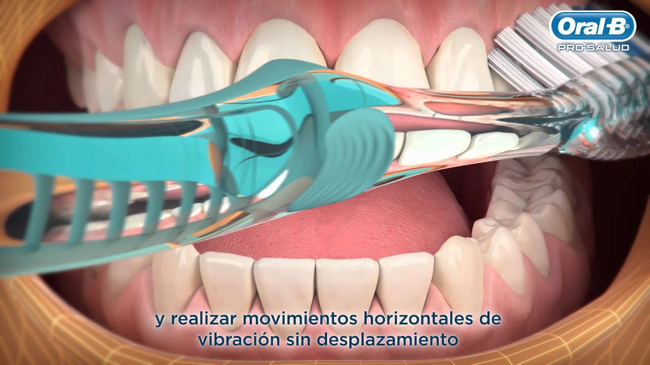 correcta para el cepillado de dientes | Oral B LT -