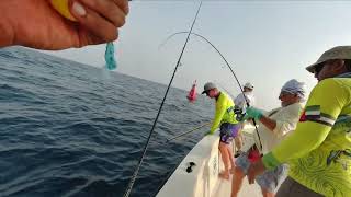 Fujairah Deep Sea Fishing Trip 05/08/2023