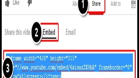 Video Embed Kodu Alma Youtube  ( Body Tag Embed )