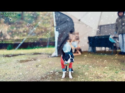 大雨の中、愛犬と車中泊キャンプに行ってきました