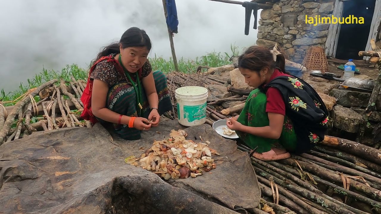 the kitchen into the rain || lajimbudha ||