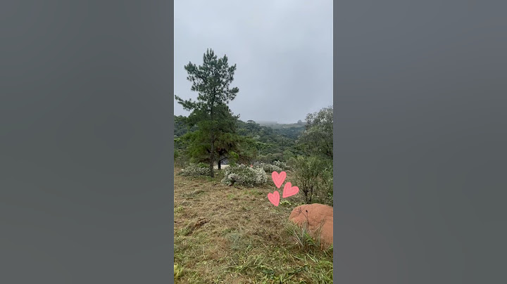 Começamos a limpar o terreno | Campos do Jordão