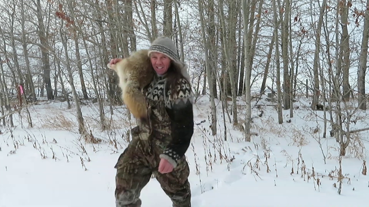 Trapping in Alberta YouTube