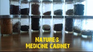 Medicine Cabinet (Feverfew)