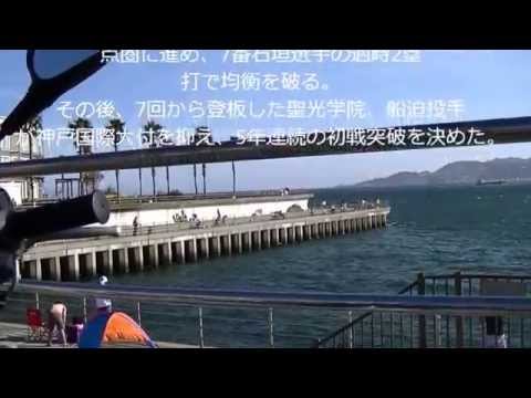 夏だ！　甲子園2014