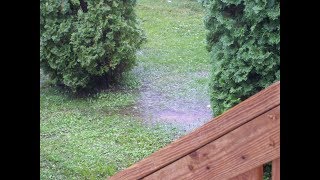 Just Dealing With A Rain Stormy Day! (Home Vlog)