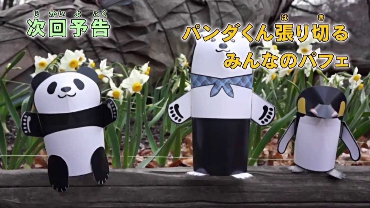 しろくまカフェの動画 画像 動画検索 マイルドサイト