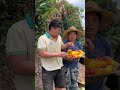 Pengpeng's Amazing Videos from Rural Children