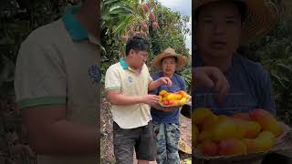 Pengpeng's Amazing Videos from Rural Children
