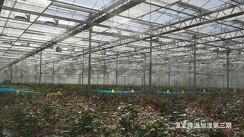 Mist System for Greenhouse | Nebufly Misting Systems