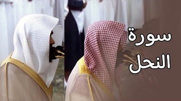 سورة النحل | المصحف الصوتي والمرئي من صلاة التراويح بالمسجد النبوي لعام 1445هـ.