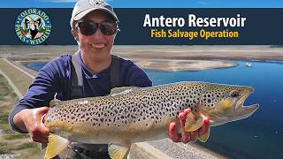 Antero Reservoir (Fish Salvage Operation)
