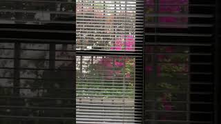 We provide complete support for your journey in Japan.