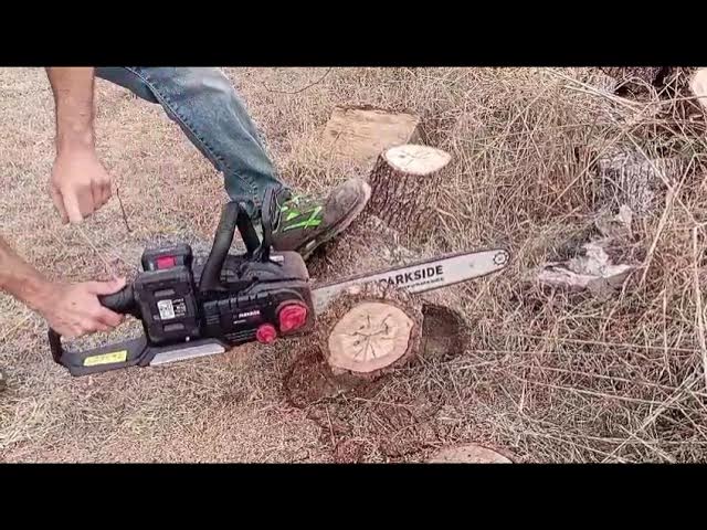 214 - PARKSIDE PERFORMANCE PPHSA 40-LI A1 cordless hedge trimmer 40V -  YouTube