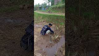 jangan ada dusta diantara kita