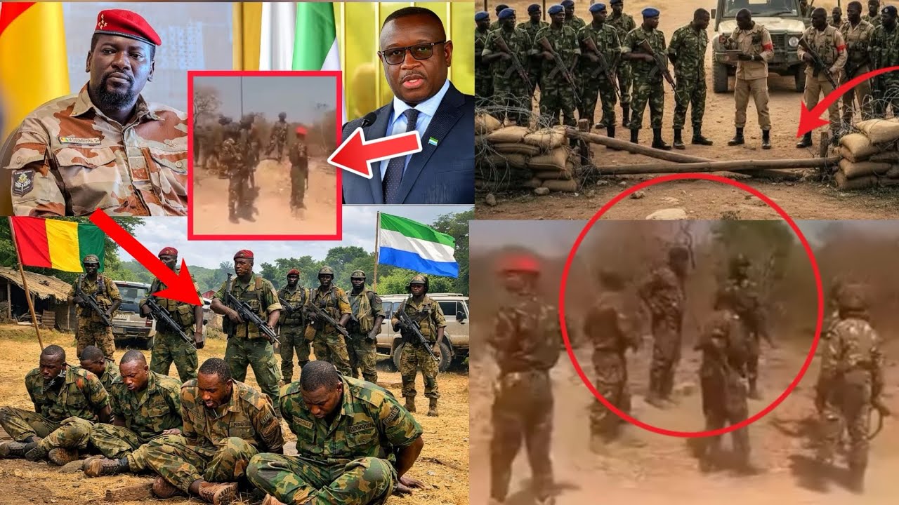 🔴Напряженность между Гвинеей 🇬🇳 и Сьерра-Леоне 🇸🇱 на границе ????🇬🇳🇸🇱❌❌