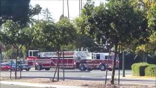 [HD] A Short SJFD Response Collection
