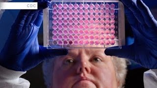 Bacteria Growing Resistant To Antibiotics