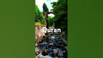 Surah Taghabun Urdu Translation 