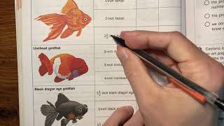 5th Grade Math (8-3) Planning Your Aquarium (pg. 284)